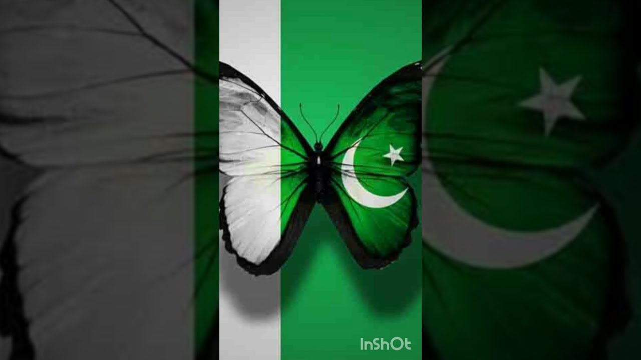 14 August Whatsapp status 2021 ll independence day of Pakistan.