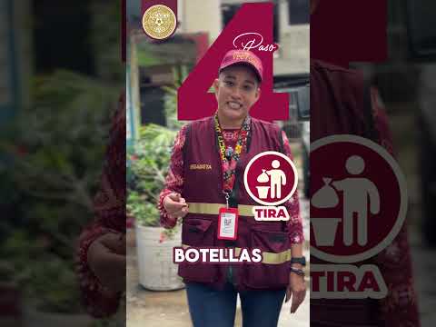 Los 4 pasos definitivos para eliminar los criaderos de Dengue | Gobierno de Tabasco 🦟