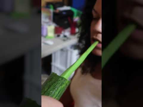 CUCUMBER SNAKE PRANK!