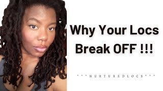 Why Your Locs are Breaking Off & How to Stop It