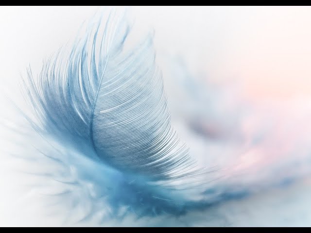 Pyrit : time for wind Trentemøller auf YouTube ansehen Pyrit : time for wind Trentemøller auf YouTube ansehen