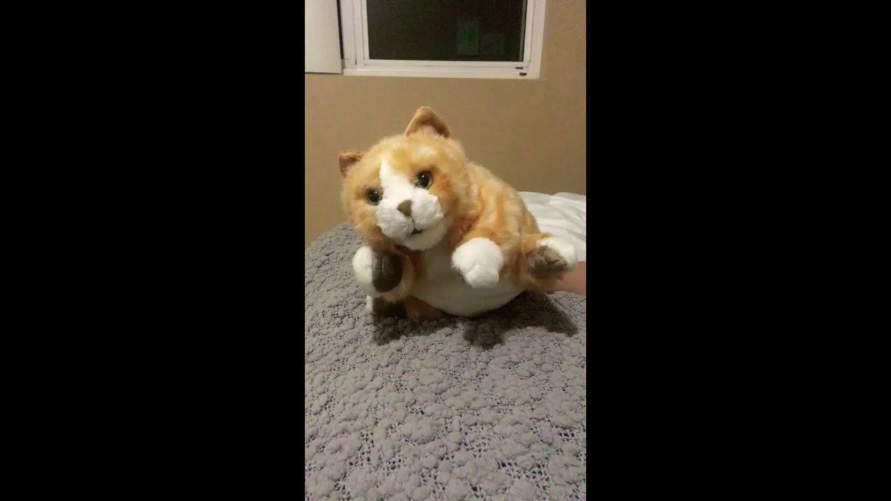 FIRST VIDEO WISTERIAMOON AND JULIAN2AJ KNOW ME