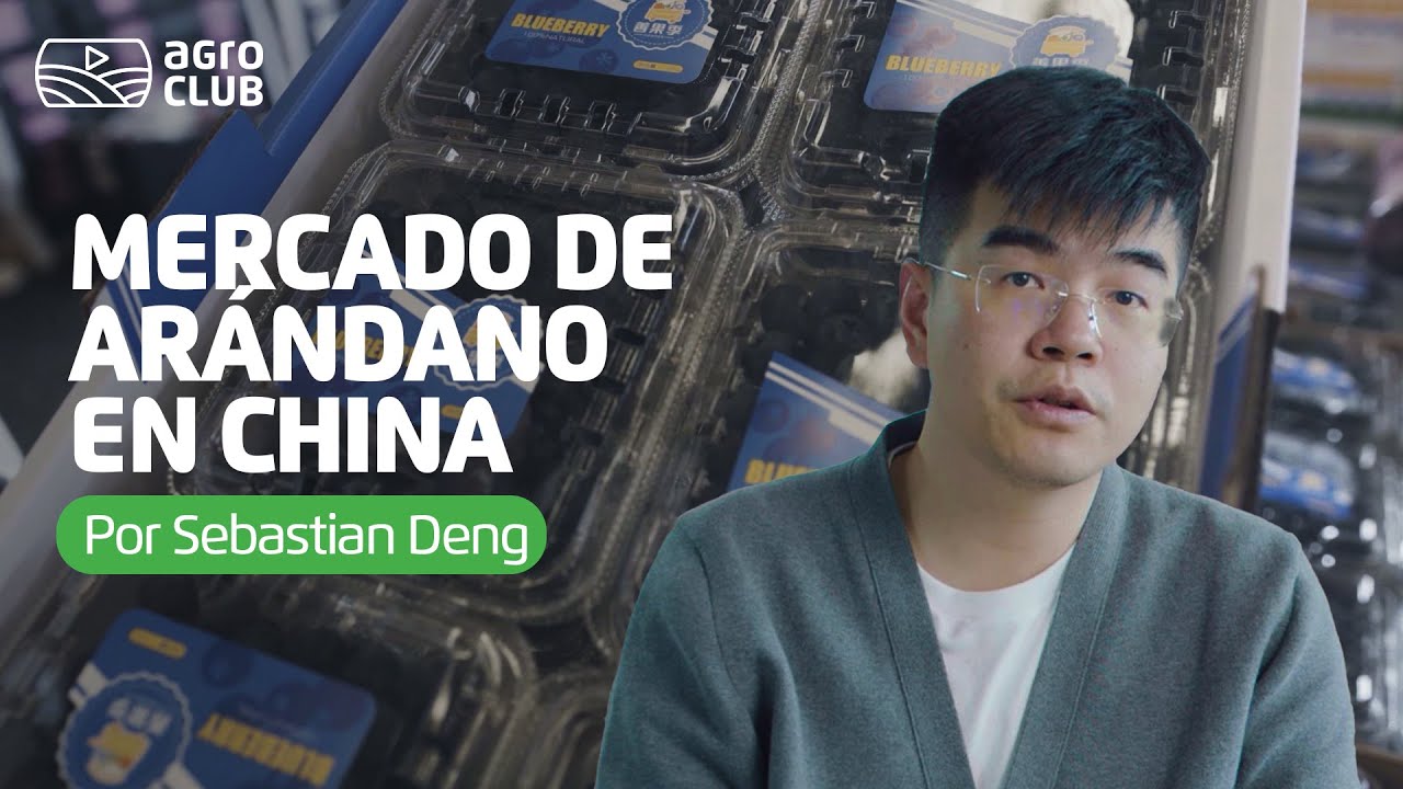 EXPORTACIÓN DE ARÁNDANOS A CHINA