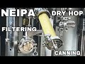 Dry Hopping, Filtering & Canning My NEIPA from the Brewtools F80 Unitank
