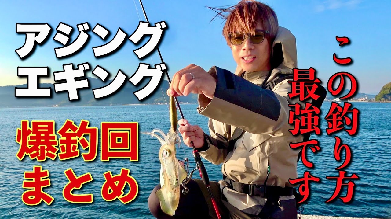 【エギング/アジング】りんたこCH秋のターゲット爆釣回まとめ！