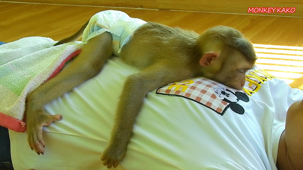 Cute Baby Luna Lovely Hug Mom Sleeping Together