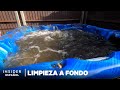 Cómo se limpia de forma profesional una bañera de hidromasaje | Limpieza a fondo