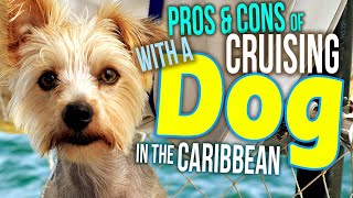 Liveaboard Cruising with a Dog in the Caribbean The Pros and Cons | Sailing Balachandra E083