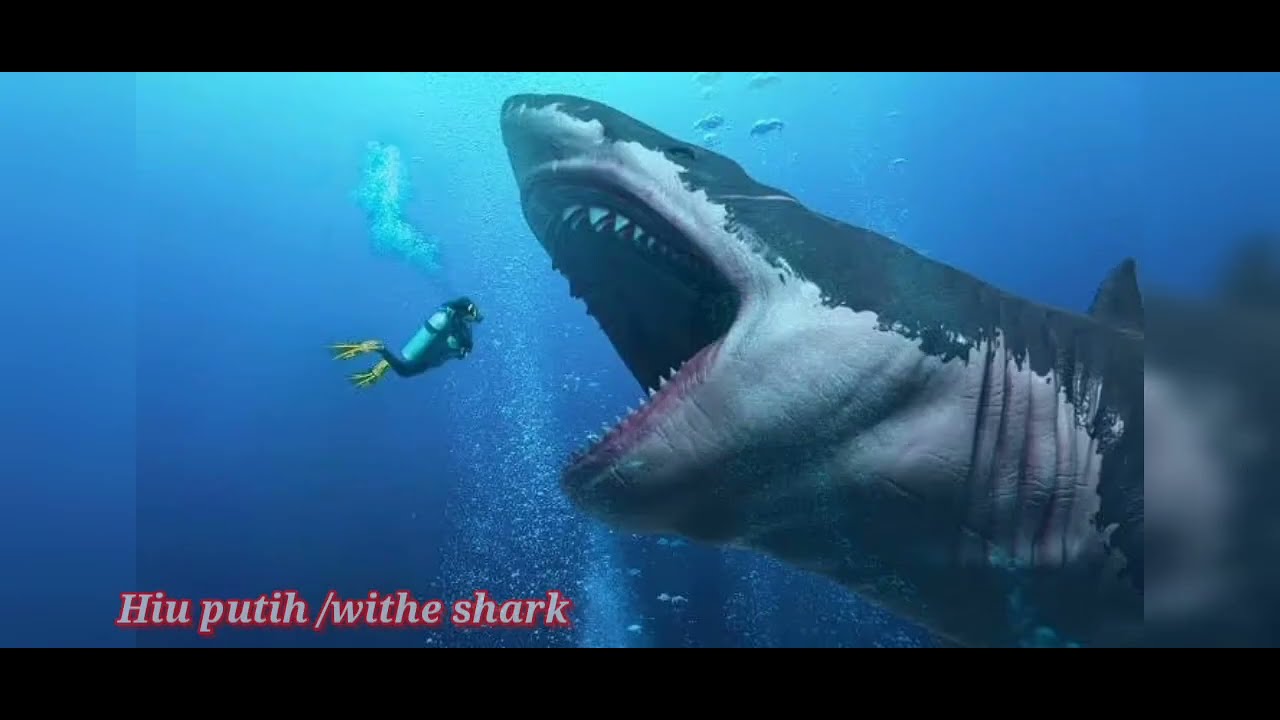 jenis ikan berbahaya di Dunia 7 - YouTube