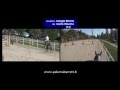 Salto ad Ostacoli Giorgio Bilotta