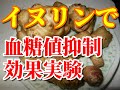 【イヌリン】血糖値抑制効果でるか。