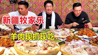 新疆博尔塔拉牧家乐，羊娃子现抓现烤，烤羊肉串配夺命大乌苏，得劲 Agritainment #麦总去哪吃 #哈萨克族 #哈夏林场