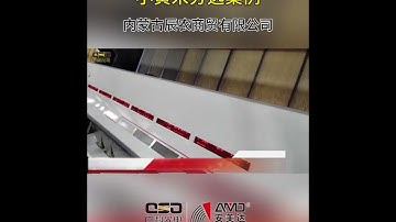 AMD Millet Color Sorting Machine