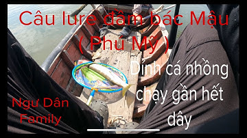 Câu lure đầm bác Mậu. Dính cá nhồng chạy cháy drag 😂😂😂😂