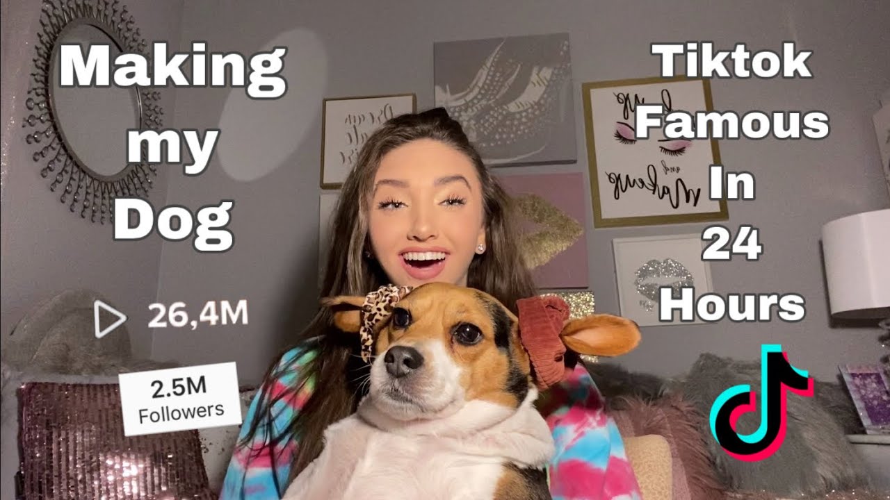 Making my Dog Tiktok FAMOUS in 24 hours (this was crazy) YouTube
