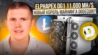 Elphapex DG1 11.000 MH/s | Новый король майнинга Dogecoin?