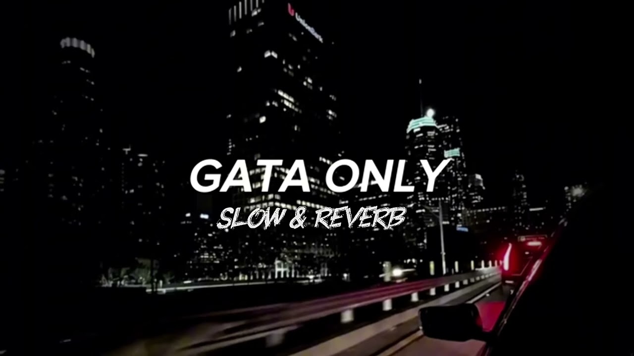 Gata only song yeyeye