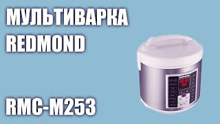 Мультиварка REDMOND RMC-M253