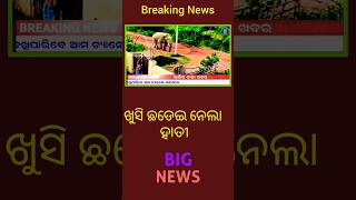 Good News: ପର୍ଯ୍ୟଟକଙ୍କ ପାଇଁ ପୁଣି ଖୋଲିଲା ଶିଖରଚଣ୍ଡୀ ପାହାଡ଼! 🏔️🐘 #Shorts #news #odianewstoday
