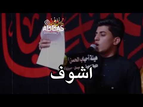 علويه مسلم الوائلي حالات واتس اب عباس الوائلي
