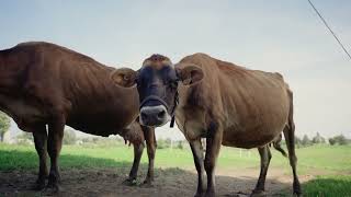 Farmers are Conservationists