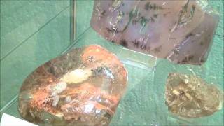 Diamonds And Precious Stones