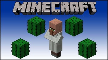 Minecraft Tutorial :: Villager Killer