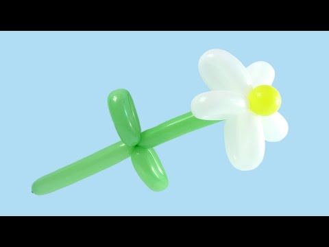 Как сделать цветок из шарика на примере ромашки и ириса