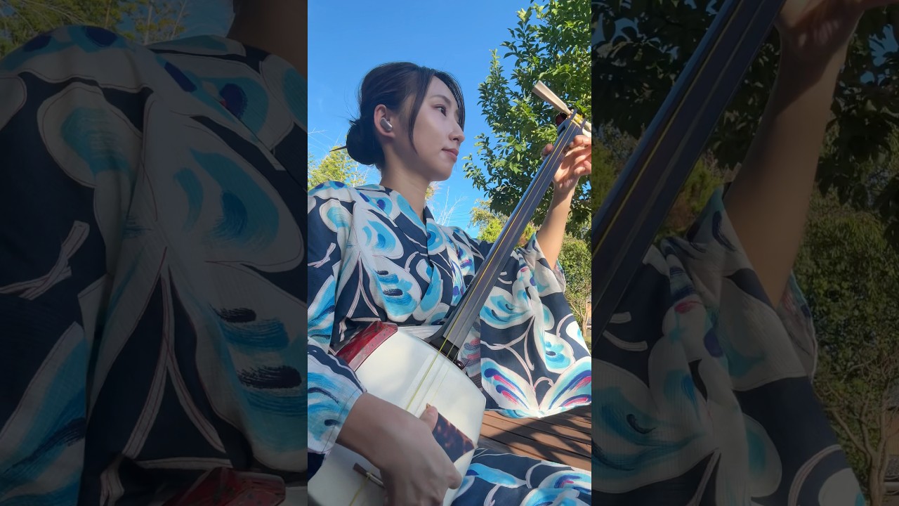 Zoltraak/Evan Call #葬送のフリーレン #milet #zoltraak #shamisen