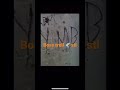 Rare video and voice of boss trell stl/Ebt