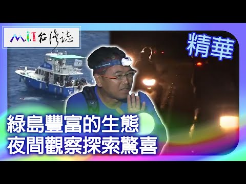 綠島豐富的生態 夜間觀察探索驚喜｜台東縣 麥覺明【 ‪‪‪‪ ‪‪‪‪‪‪‪‪‪‪‪‪‪‪‪‪‪‪‪‪‪‪‪‪‪‪‪‪ ‪‪‪@ctvmit 525集】
