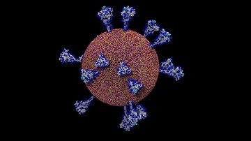 AI-Driven Multiscale Simulations Illuminate Mechanisms of SARS-CoV-2 Spike Dynamics