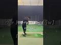 ウッドショット映像【5w】スローあり
