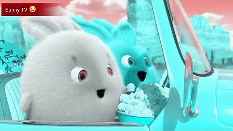Sunny bunnies intro effects/Sunny cartoon/cartoons
