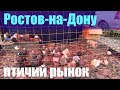 Птичий рынок. Ростов-на-Дону. Часть 2. [20.02.2022]