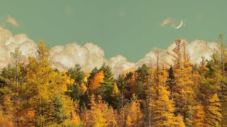 Сентиментальная осенняя атмосфера 🍂 Мастер-класс по созданию дизайна