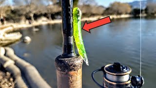 My First Trout On A Hook Up Bait!(Urban Desert Pond Fishing)