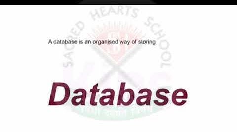 Class 8 Computer Chapter 3 MS Access Part 1