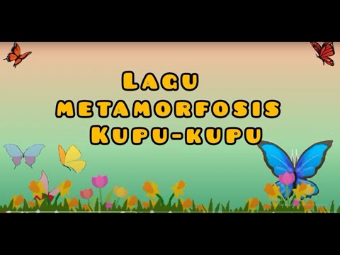 Video: Cara Menanam Kupu-Kupu - Mengajarkan Anak Tentang Ulat Dan Kupu-Kupu