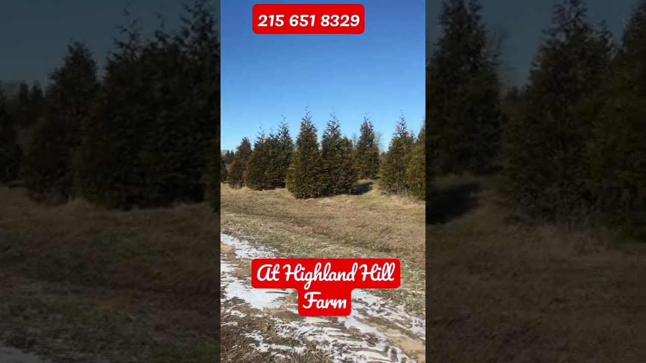 Huge green giants at Highland Hill Farm near Philadelphia. Call us at 215 651!8329 YouTube