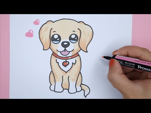 Video: Come Disegnare Impronte Di Animali