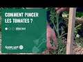 [TUTO] Comment pincer les tomates - Jardinerie Gamm vert