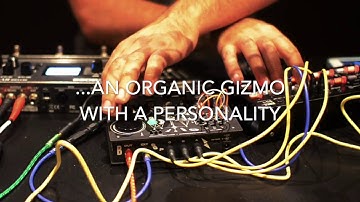 Softpop Bastl | PO-32 | RV-500 | First jam Funktree