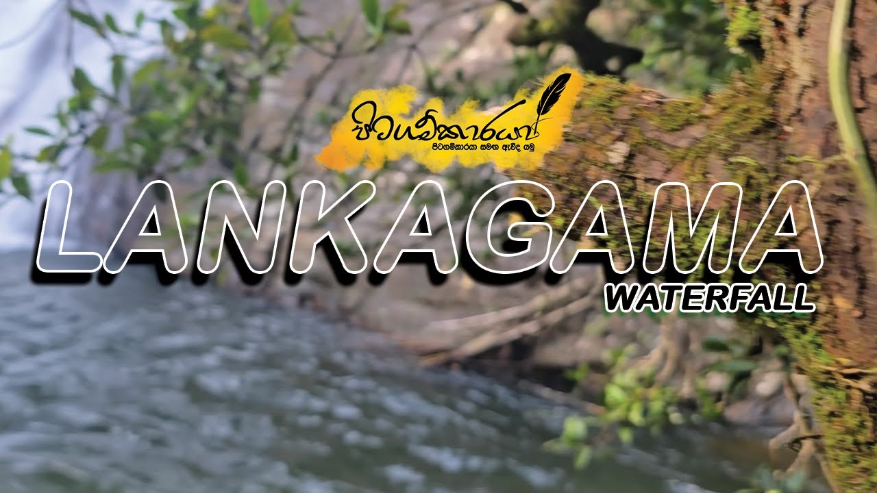 lANKAGAMA ( Singha Raja rainforest Sri Lanka ) - YouTube