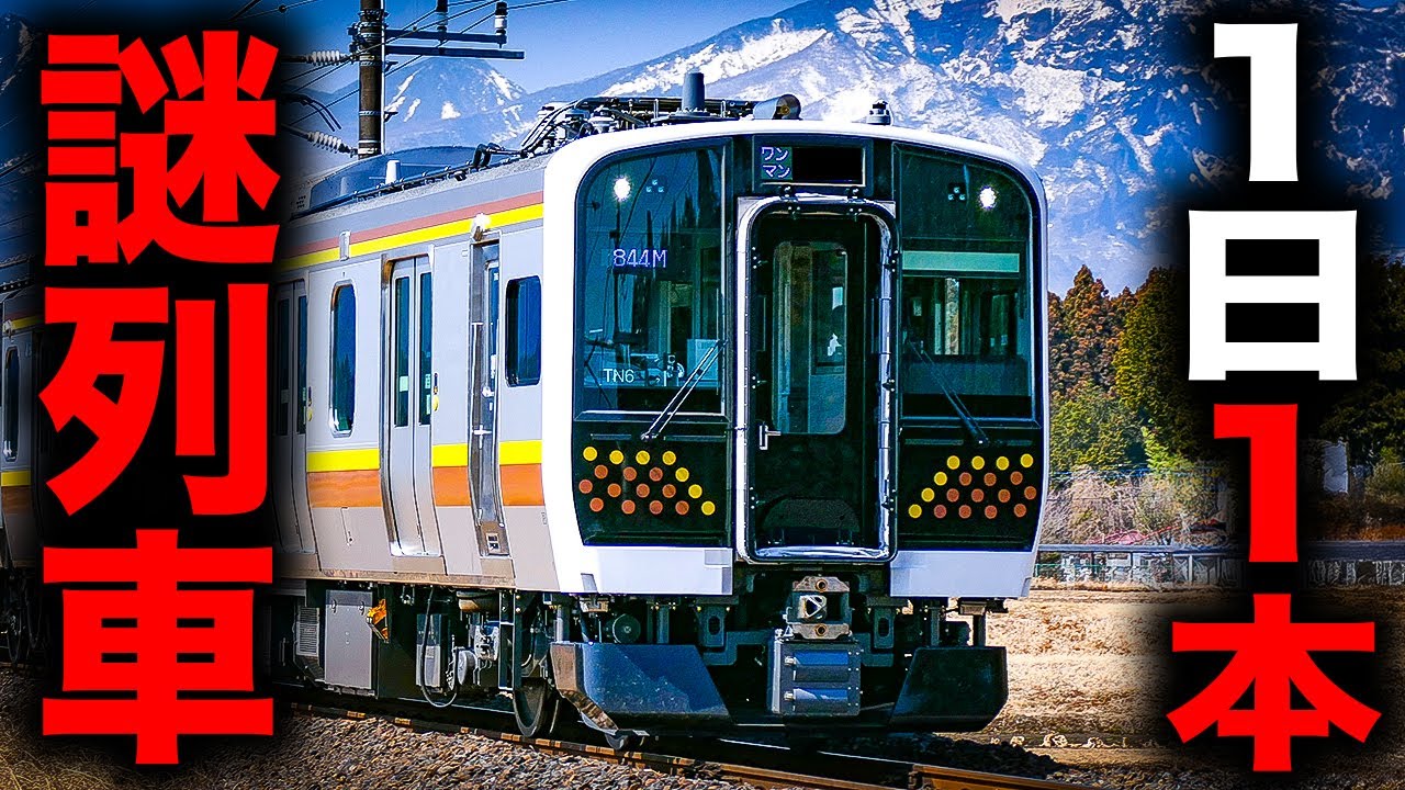 【前泊必須】毎日早朝に運転される謎の宇都宮線に乗ってきた！