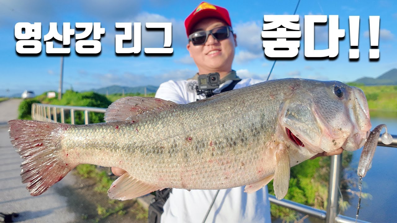 농수로 새물 흐름에 프리리그 쉐드웜 다양하게 계속 나오는 덩어리 더워도 배스낚시 못 참지!! [CHECKMATE ep.16]