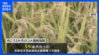 コメの「向こう3か月」価格見通し 「この先も高いまま」との見方強く　先月の調査結果｜TBS NEWS DIG