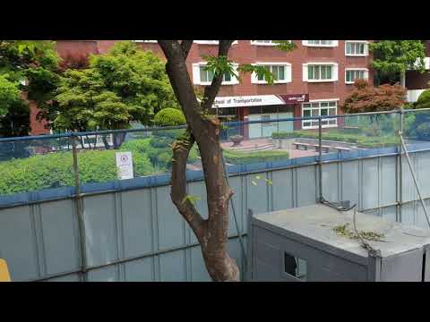 국립한국교통대학교 의왕캠퍼스 강당신축공사07