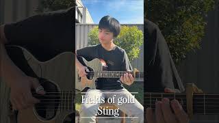 Fields of gold - Sting - Fingerstyle - (Jason Tran) #fieldsofgold #sting #viral #guitar #music