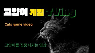 고양이게임 | 고양이가 좋아하는 영상 | 고양이가 힐링 음악 | 3시간 by 고양이게임TVing 40 views 6 days ago 3 hours, 4 minutes
